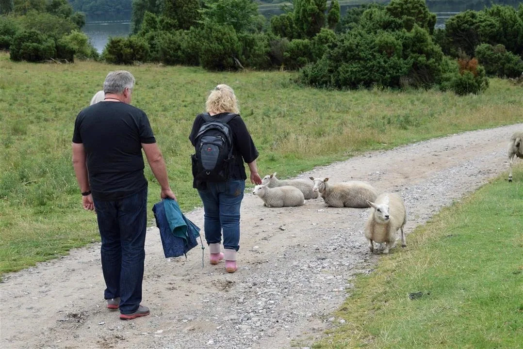 G21.5  bramslev bakker to hobro walk along mariager fjord (4)